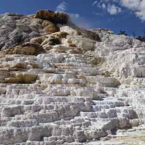 Meet your Posher, Jesse